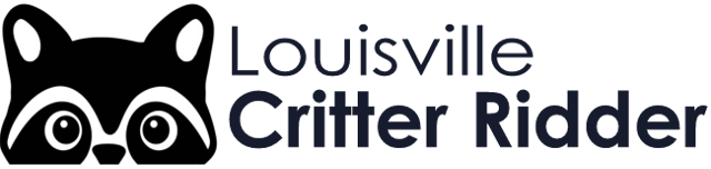 Louisville Critter Ridder